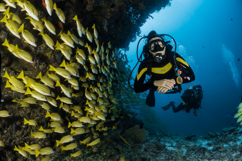 ASHLAR SEA — Pescas